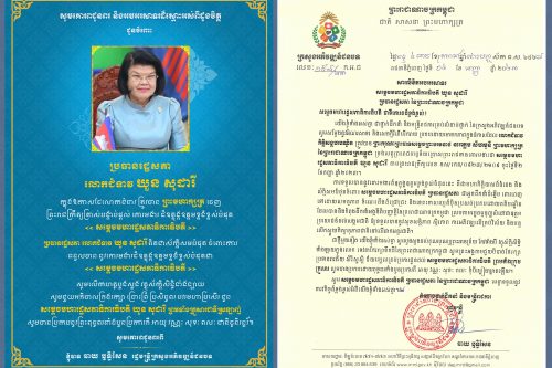 ឃួន សុដារី v2