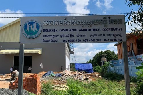 photo 2023 11 08 14 19 12