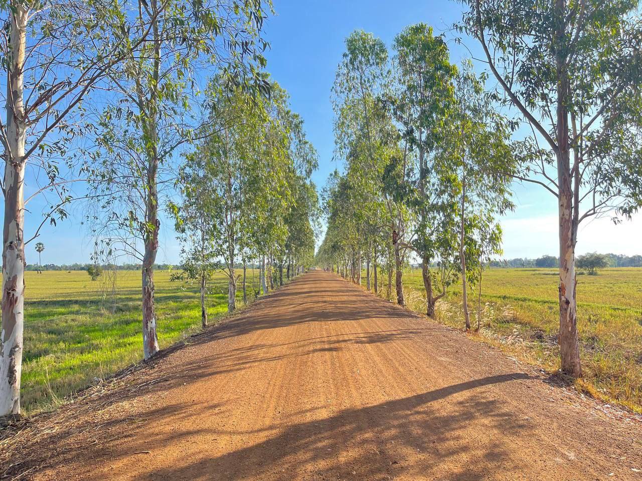 ផ្លូវជនបទ ក្រាលកៅស៊ូពីរជាន់ និងក្រាលល្បាយក្រួស ចំនួន ២២ខ្សែ ត្រូវបានជួសជុល និងថែទាំដោយមន្ទីរអភិវឌ្ឍន៍ជនបទខេត្តកំពង់ឆ្នាំង 5 photo 2023 12 07 15 30 50