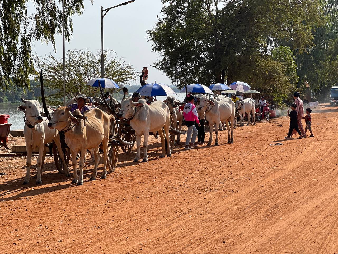 ខេត្តកំពង់ឆ្នាំង៖ នាថ្ងៃសុក្រ-សៅរ៍ ២-៣កើត ខែបុស្ស ឆ្នាំថោះ ព.ស.២៥៦៧ ត្រូវនឹងថ្ងៃទី១២-១៣ ខែមករា ឆ្នាំ២០២៤ លោក កាយ សុខជា អនុប្រធានមន្ទីរ និងជាប្រធានគ្រប់គ្រងគម្រោងគាំទ្រនិរន្តរភាពហេដ្ឋារចនាសម្ព័ន្ធជនបទដើម្បីទីផ្សារកសិករ និងពាណិជ្ជូបនីយកម្មកសិកម្ម ខេត្ត សហការជាមួយ ទីប្រឹក្សាគម្រោងថ្នាក់ជាតិ បានដឹកនាំមន្ត្រីគម្រោងខេត្ត រៀបចំកិច្ចប្រជុំដាក់ដោយឡែក ចំនួន២ 6 photo 2024 01 14 06 41 58
