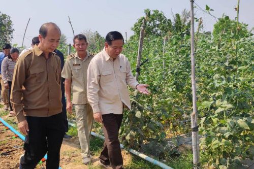 photo 2024 02 17 12 05 31