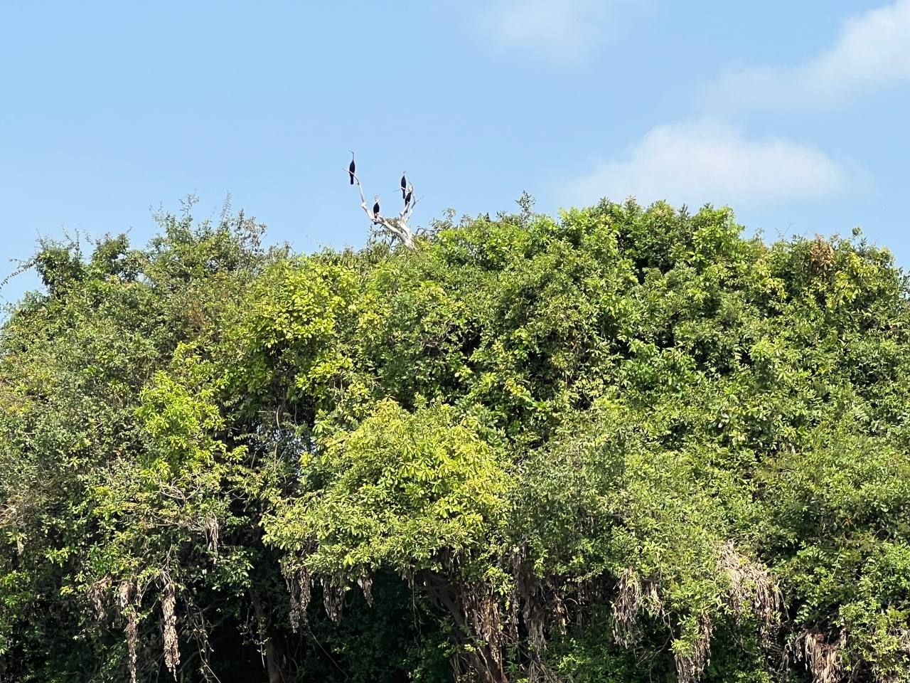 photo 2024 02 19 17 33 50