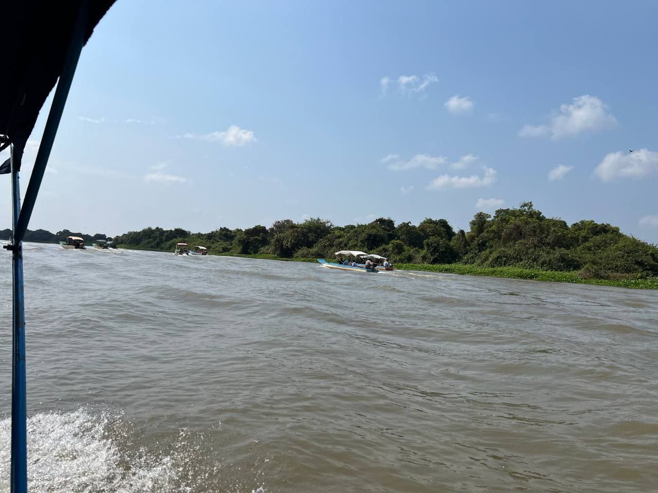 photo 2024 02 19 17 33 51 2