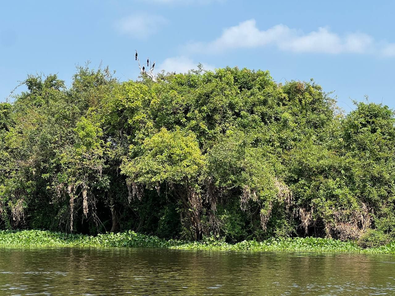 photo 2024 02 19 17 33 51