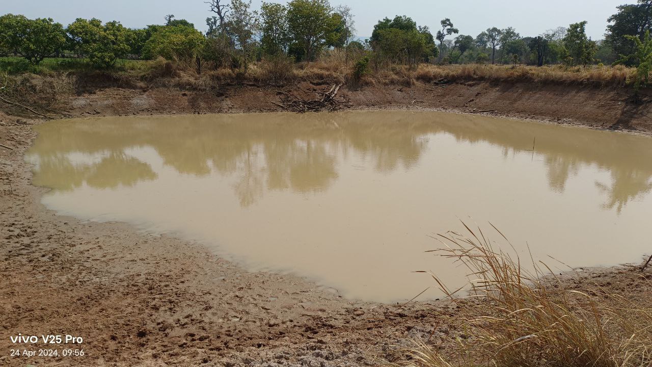 photo 2024 04 24 18 47 13 2