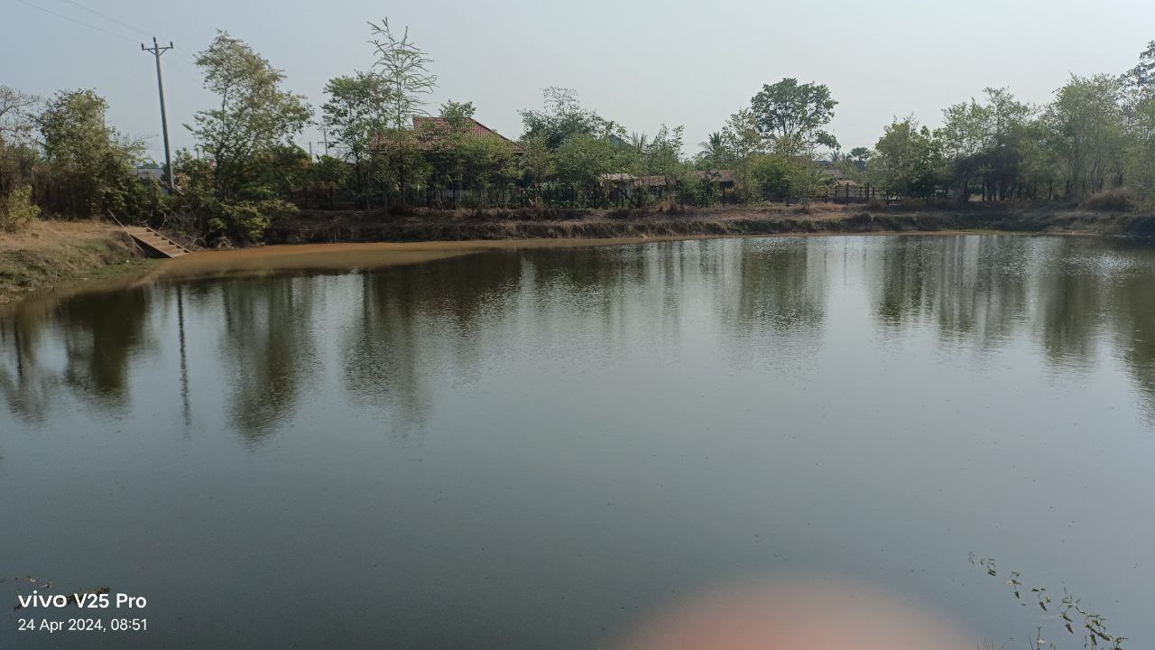 photo 2024 04 24 18 47 13 3