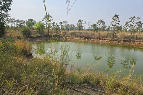 photo 2024 04 24 19 17 27