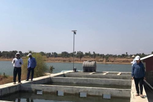 photo 2024 04 24 20 21 53