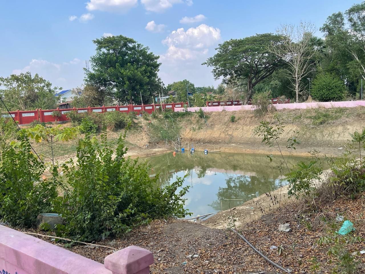 photo 2024 05 01 19 49 58 4