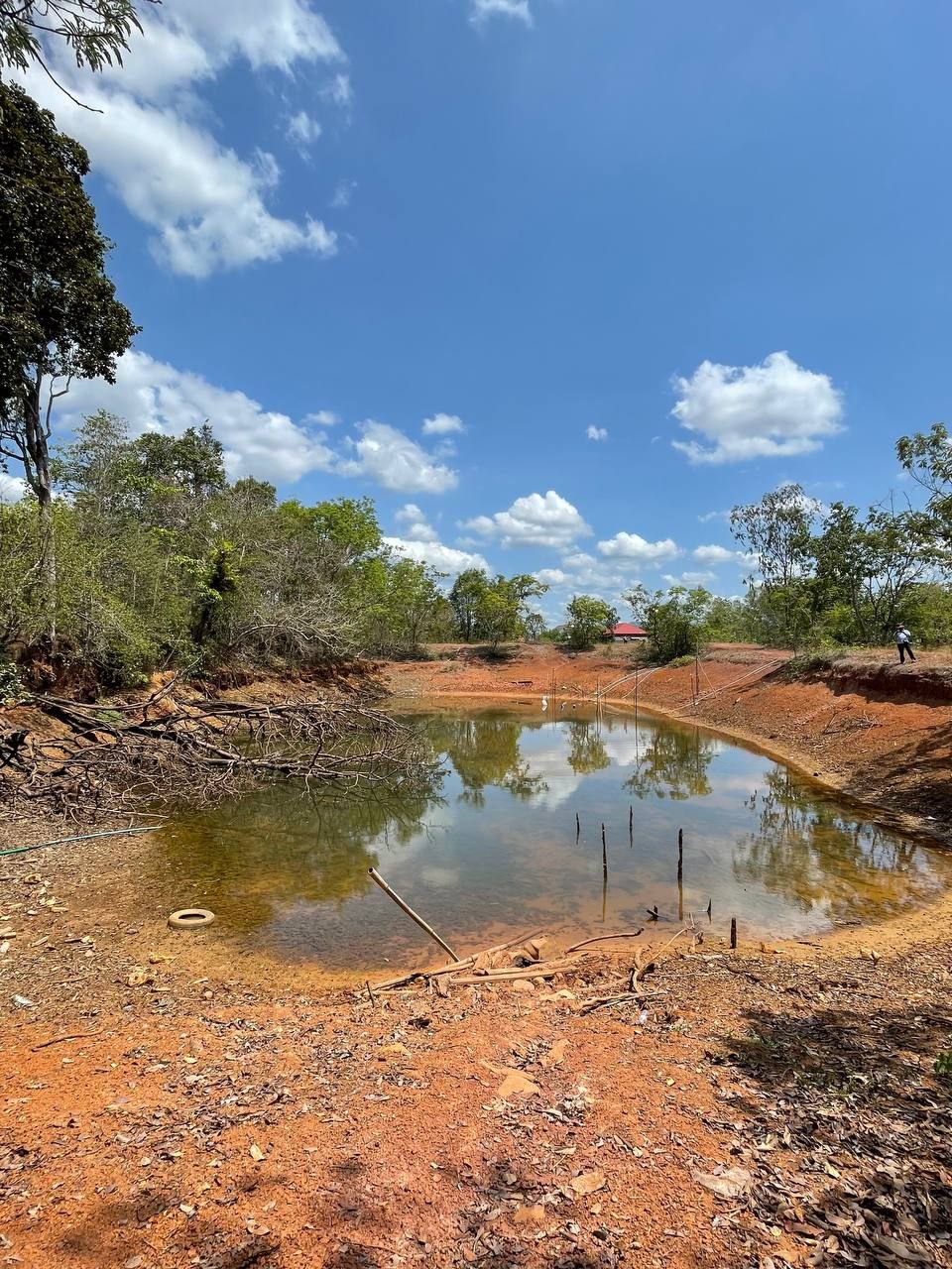 photo 2024 05 02 15 52 00