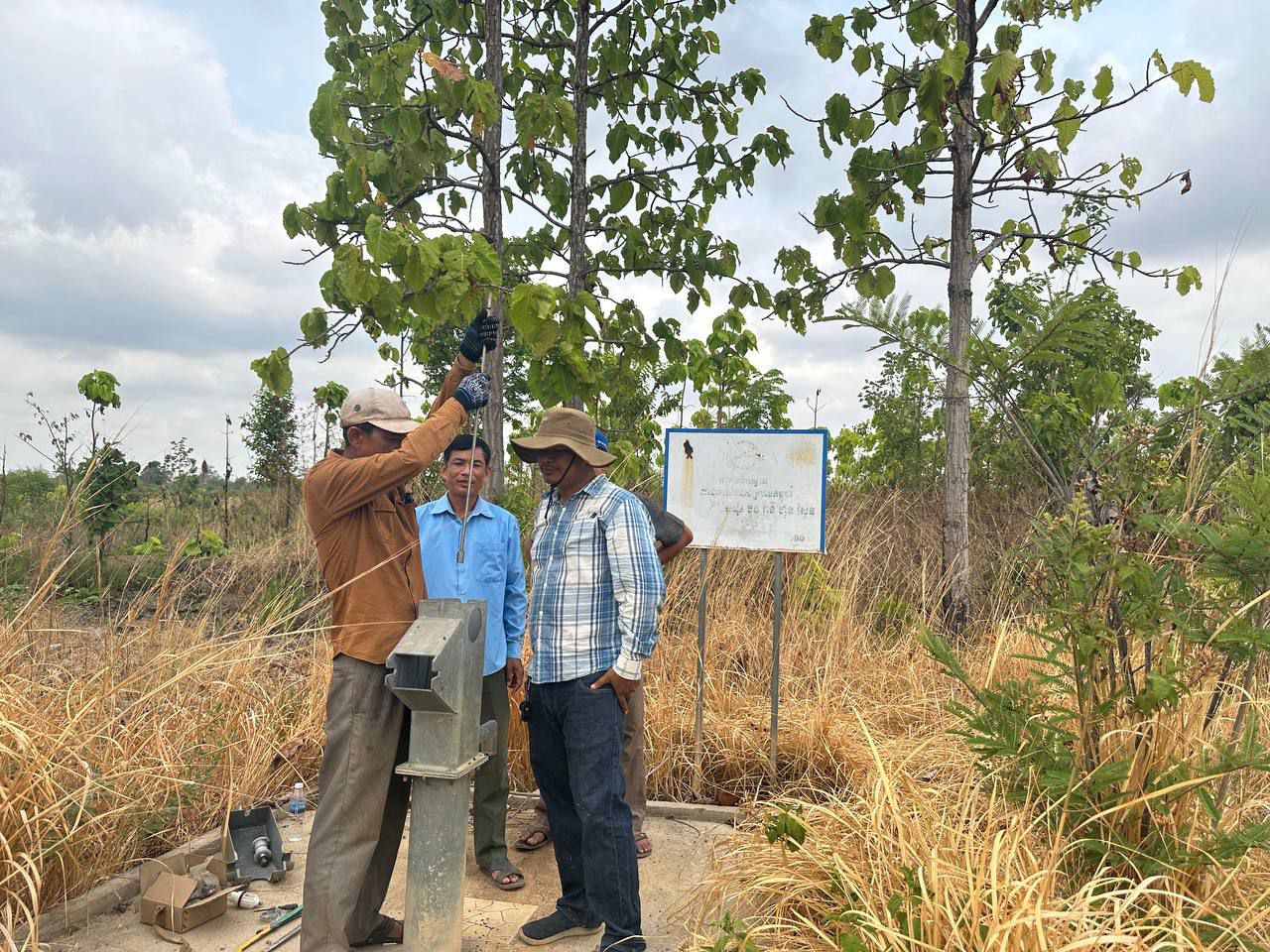 photo 2024 05 02 21 19 31