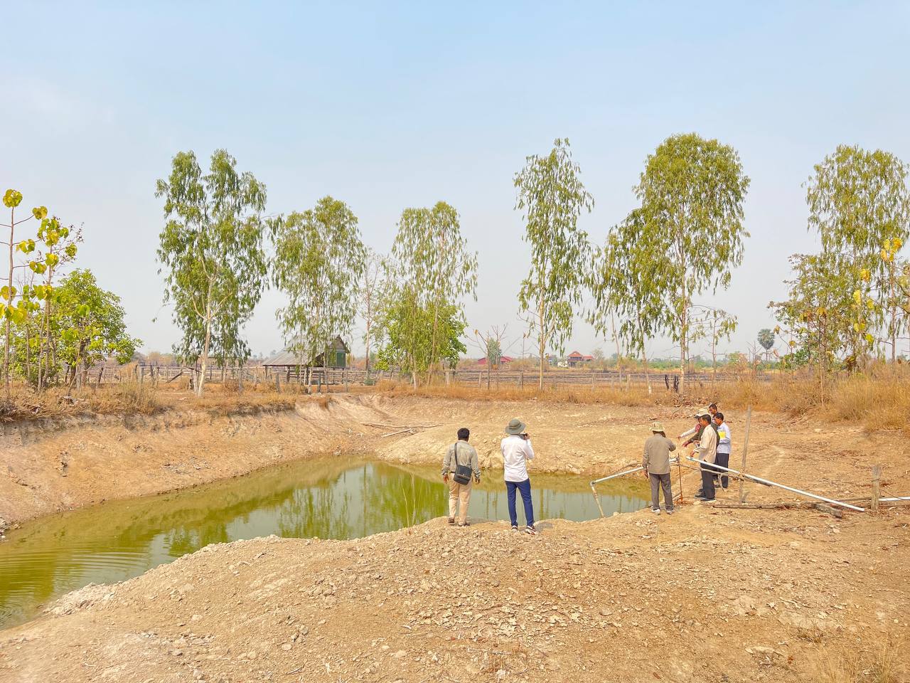 photo 2024 05 03 17 59 19