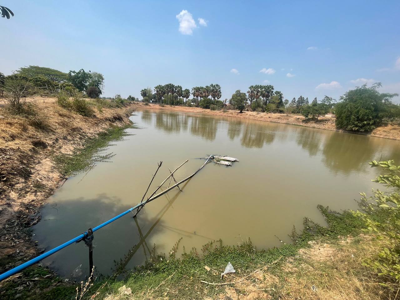 photo 2024 05 03 21 11 32