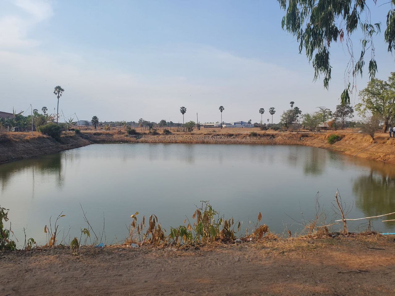 photo 2024 05 05 17 00 39