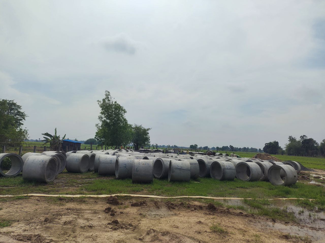 photo 2024 05 20 14 46 38