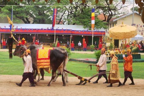 photo 2024 05 26 15 05 38