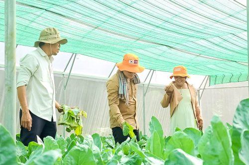 photo 2024 06 07 10 37 32 2