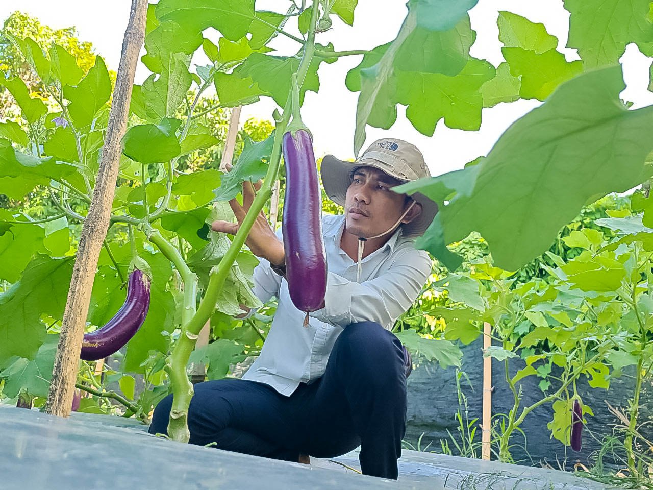 photo 2024 06 07 10 37 33 2