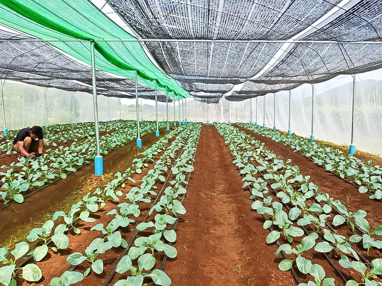 photo 2024 06 07 10 37 33 4