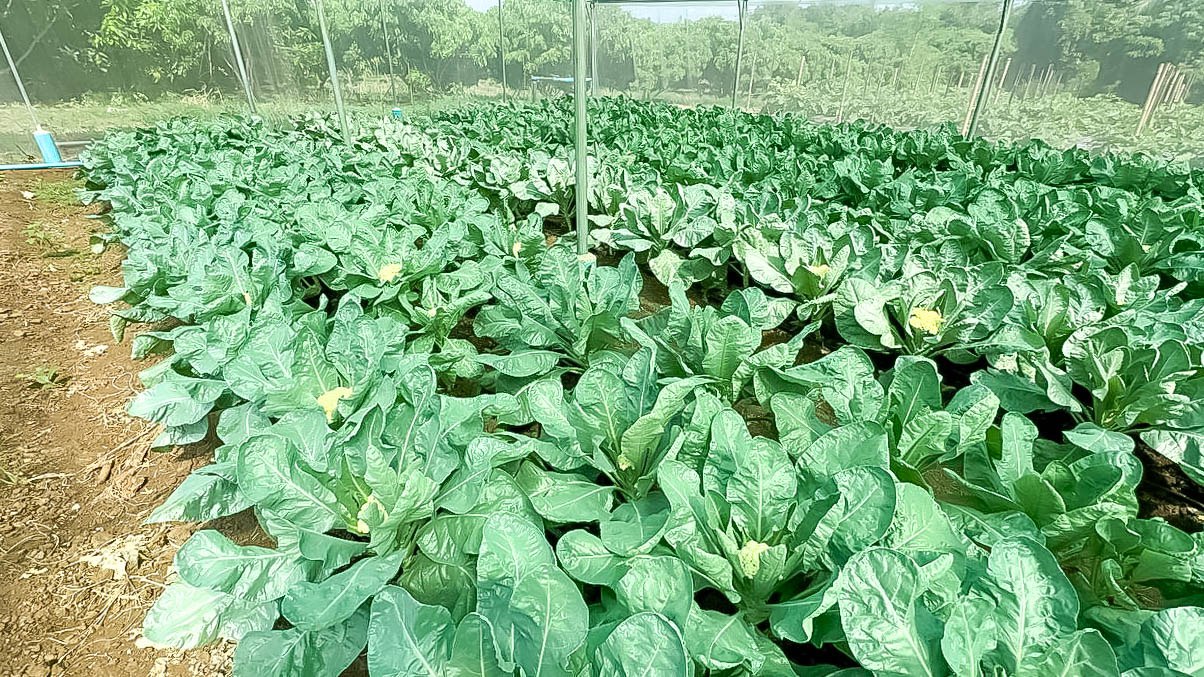 photo 2024 06 07 10 37 33 5