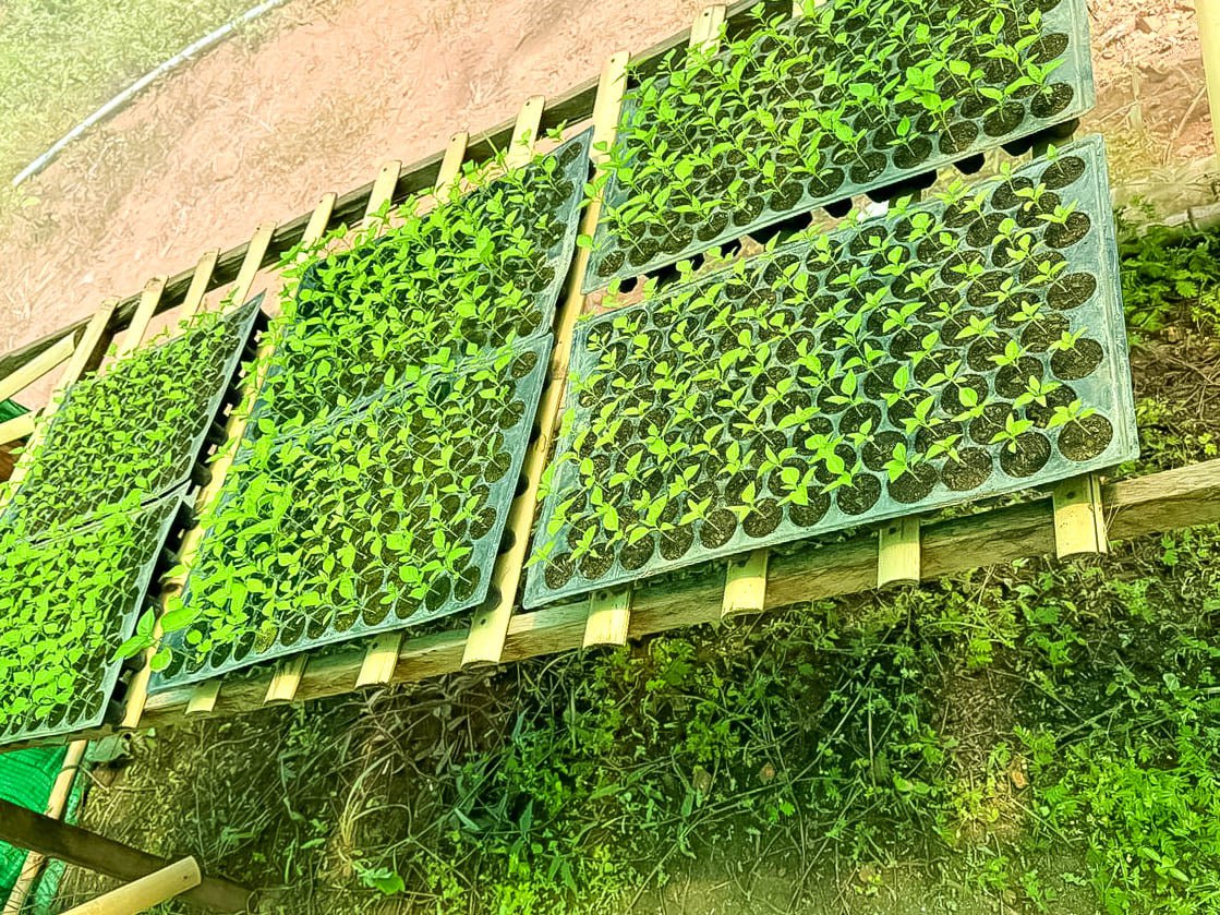 photo 2024 06 07 10 37 34 2