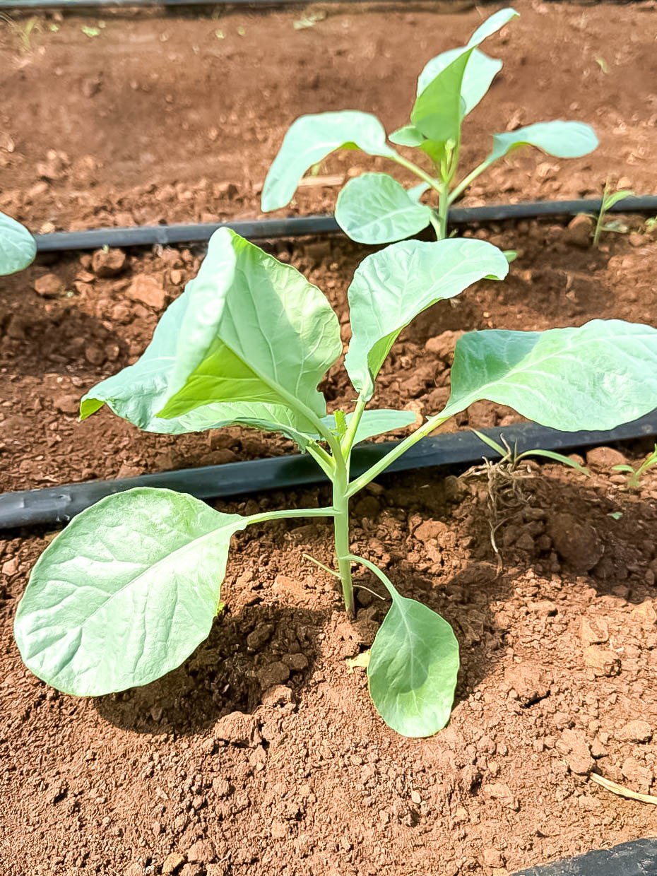 photo 2024 06 07 10 37 34 3