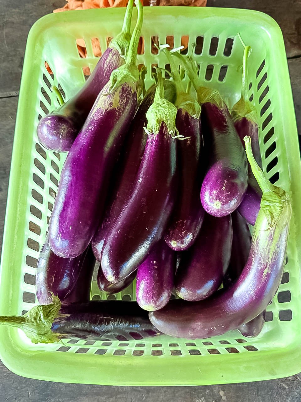 photo 2024 06 07 10 37 34 4