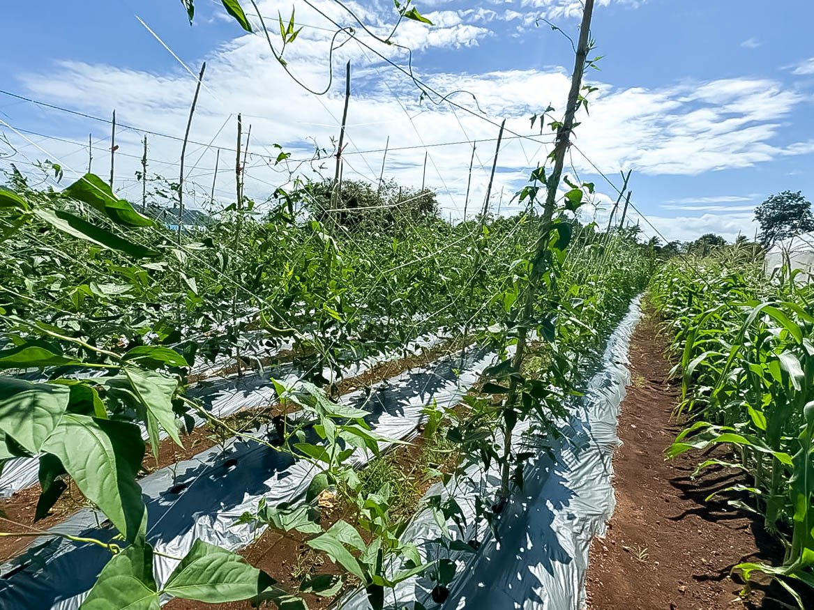 photo 2024 06 07 10 37 34