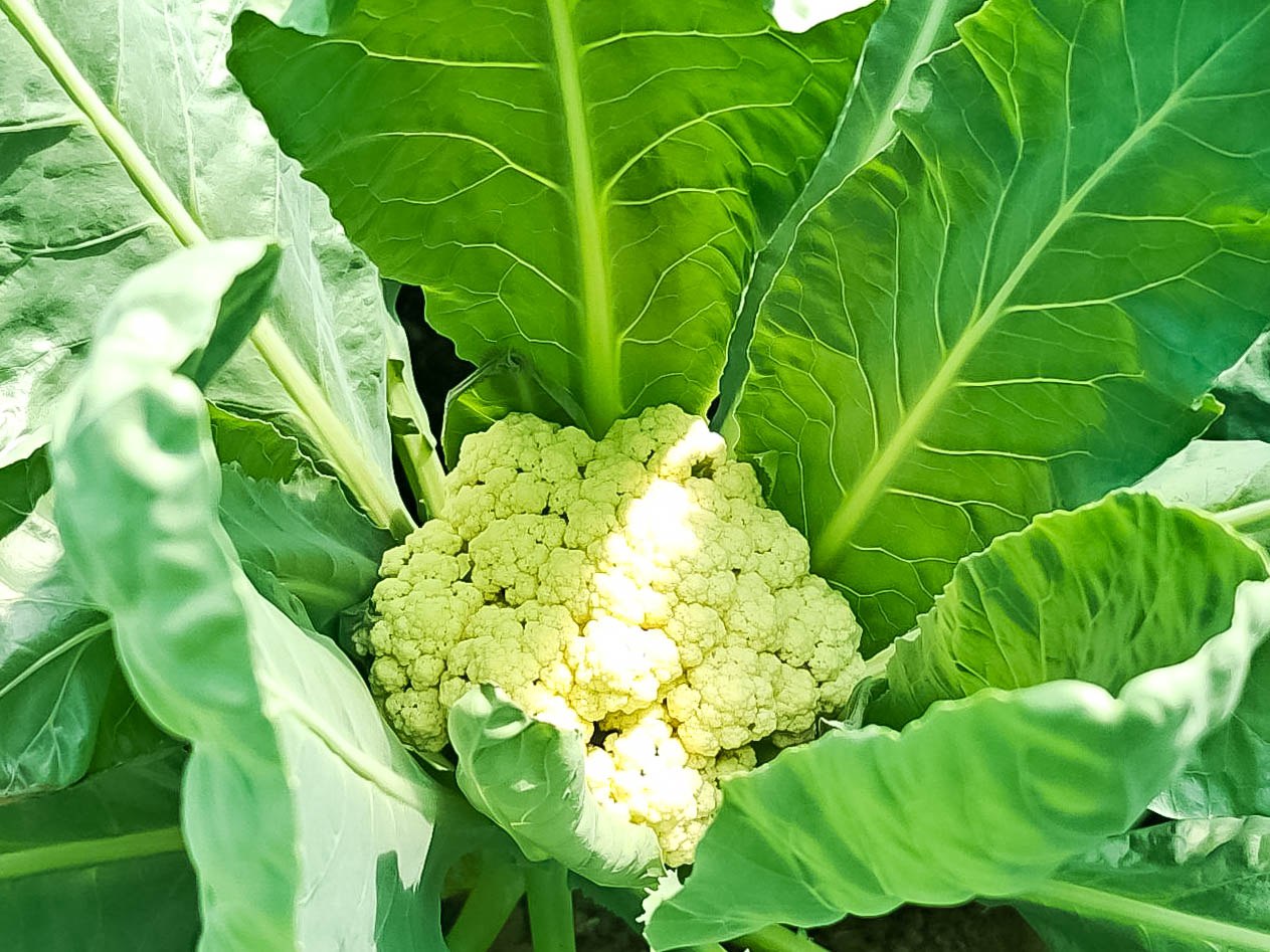 photo 2024 06 07 10 37 35 2