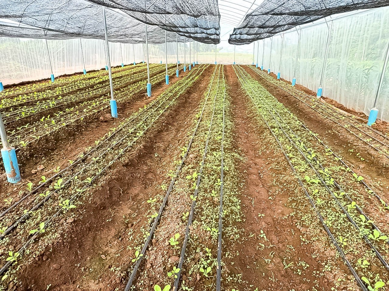 photo 2024 06 07 10 37 35 3