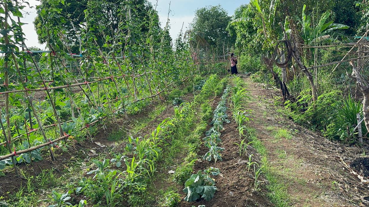 photo 2024 06 10 14 12 00