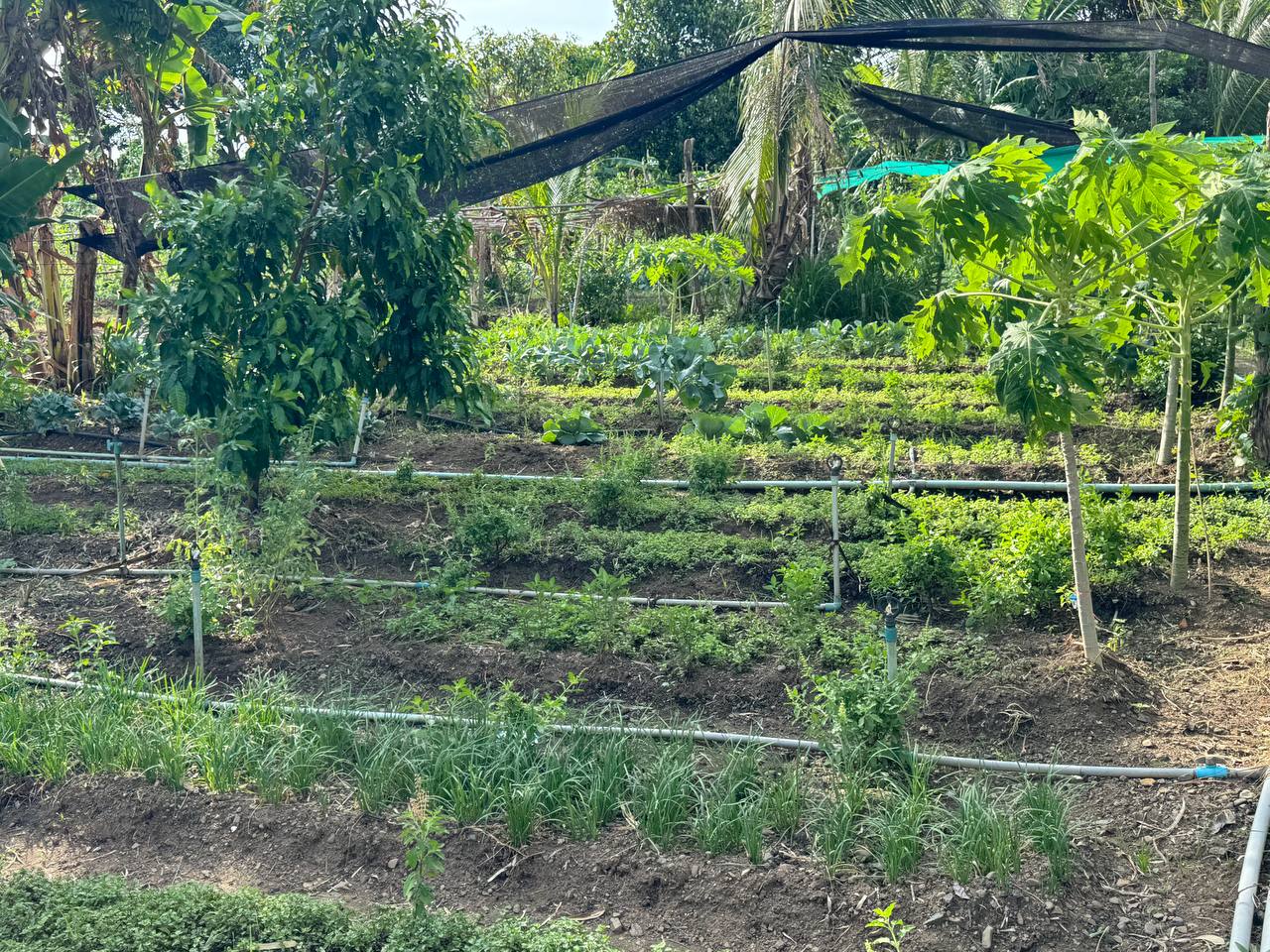 photo 2024 06 10 14 12 05