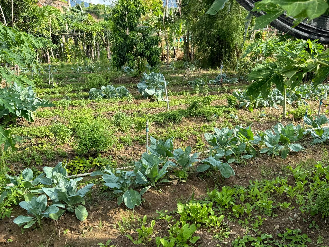 photo 2024 06 10 14 12 09