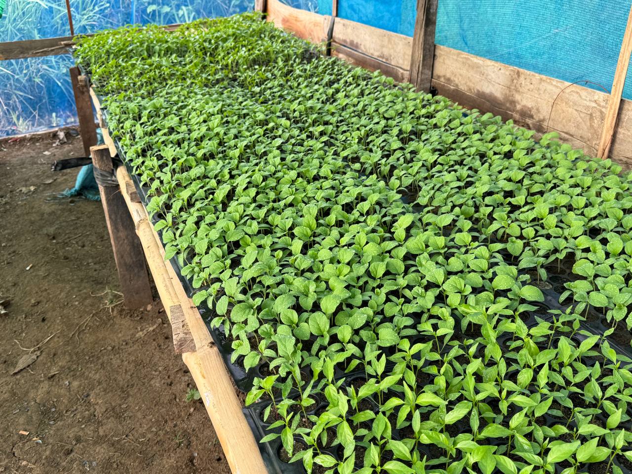 photo 2024 06 10 14 12 12