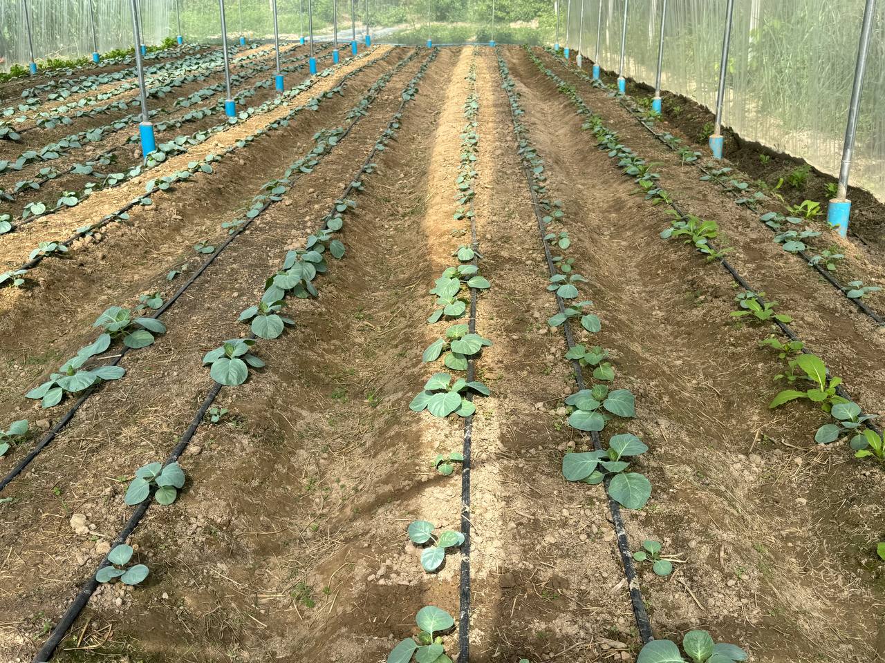 photo 2024 06 10 14 12 16