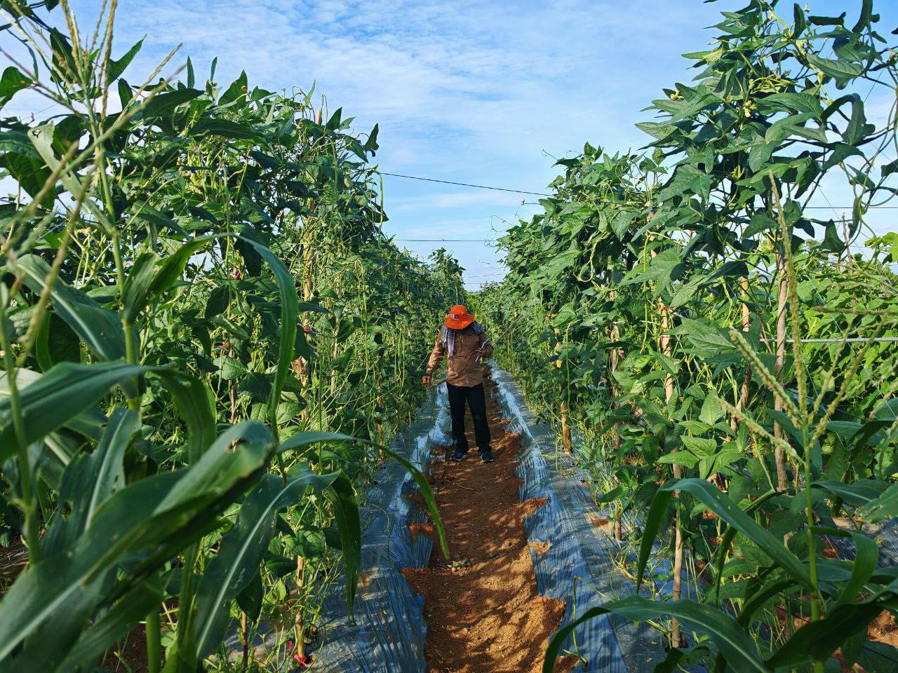 photo 2024 06 10 14 24 28