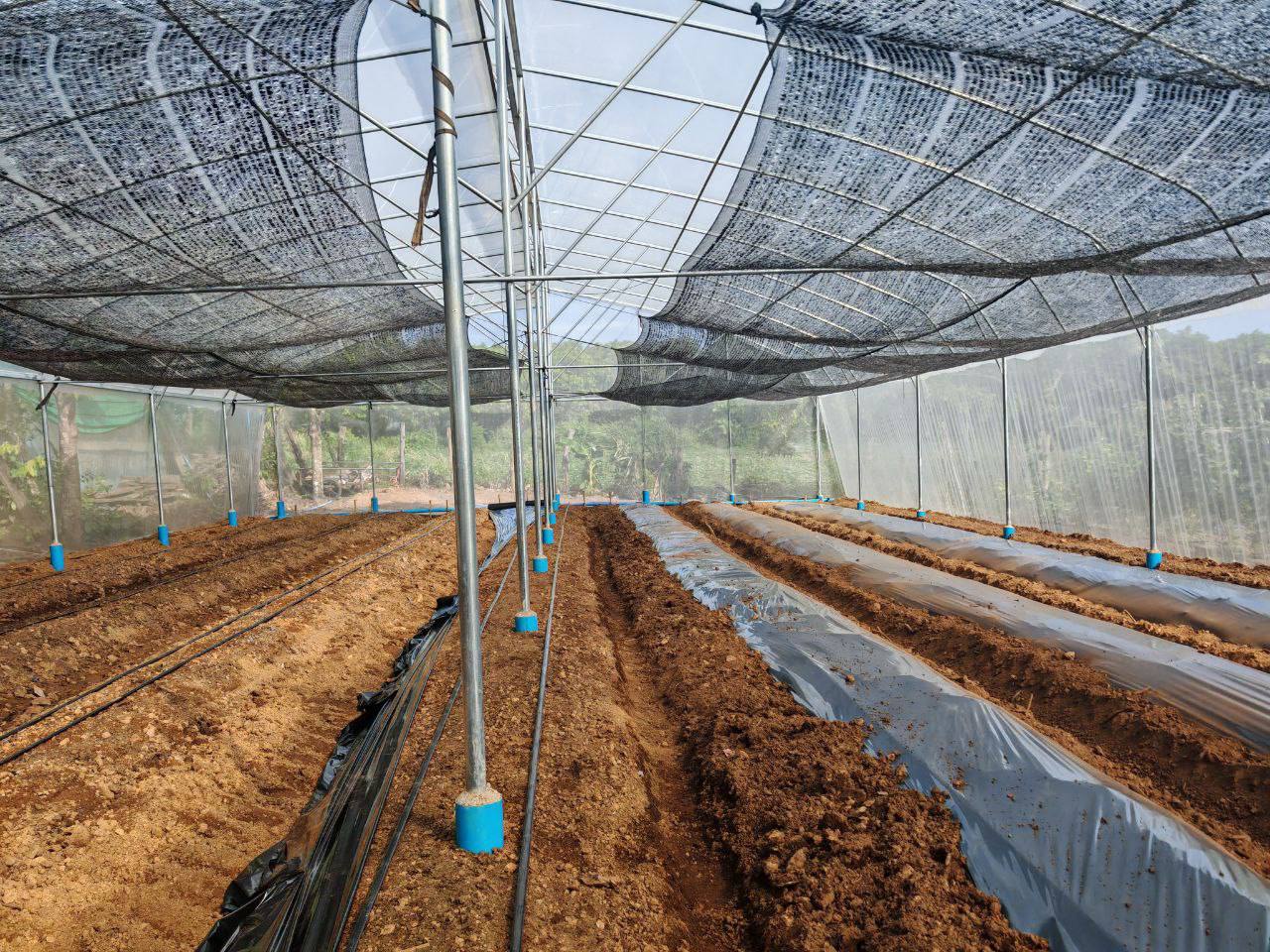 photo 2024 06 10 14 24 33