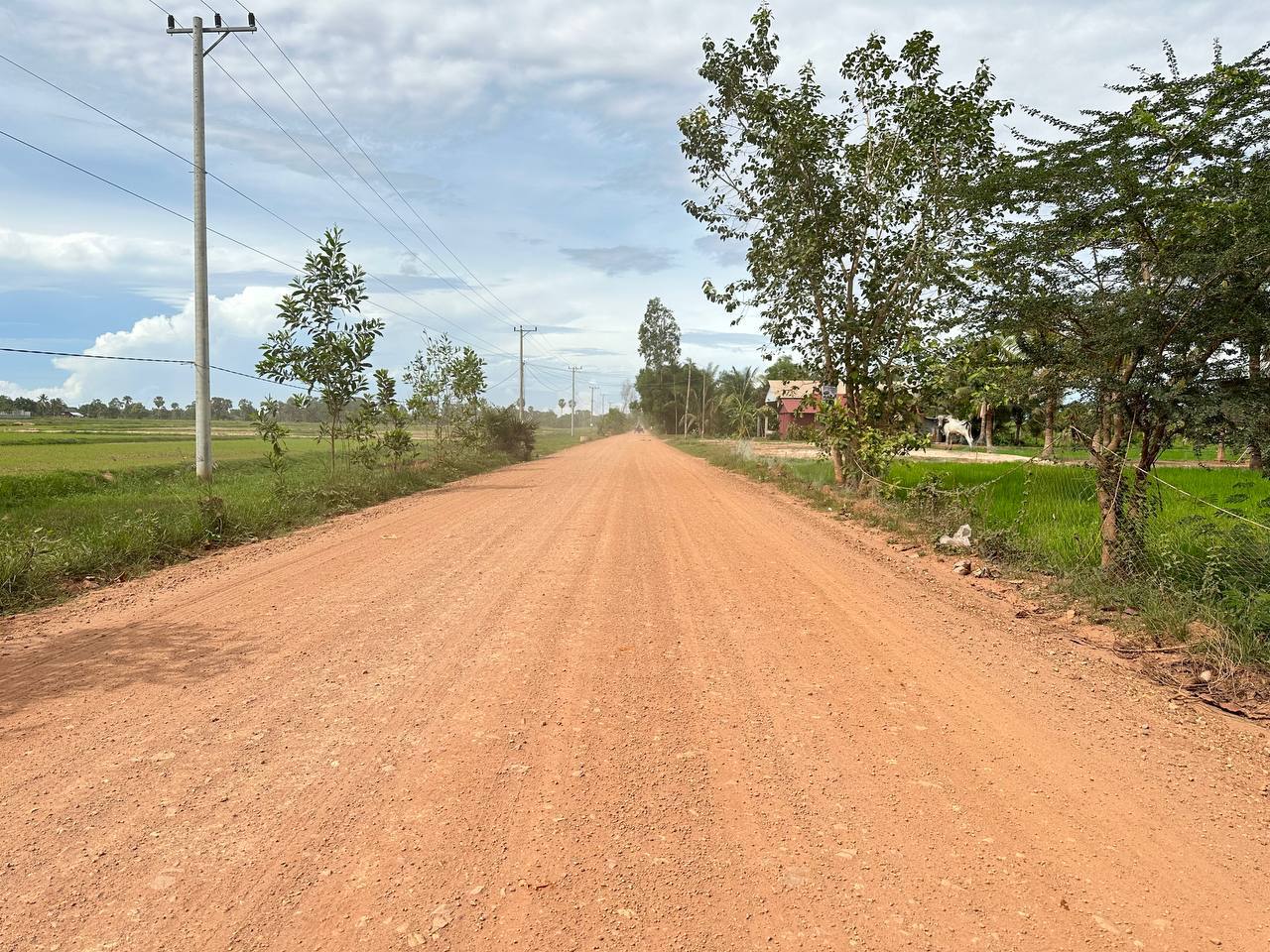 photo 2024 06 20 15 02 53