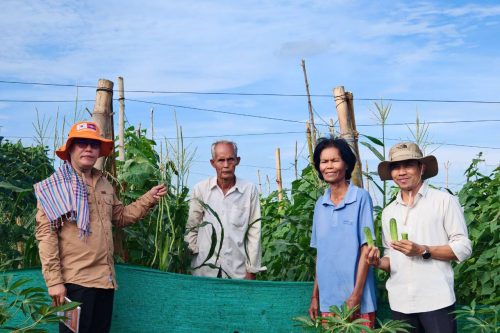 គម្រោងបង្កើនប្រាក់ចំណូលគ្រួសារបានសាងសង់ផ្ទះ