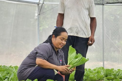 photo 2024 07 04 11 47 17