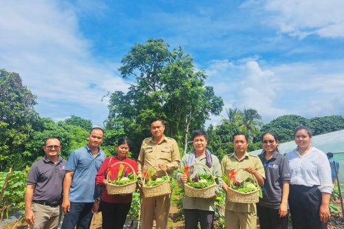 photo 2024 07 04 17 33 45