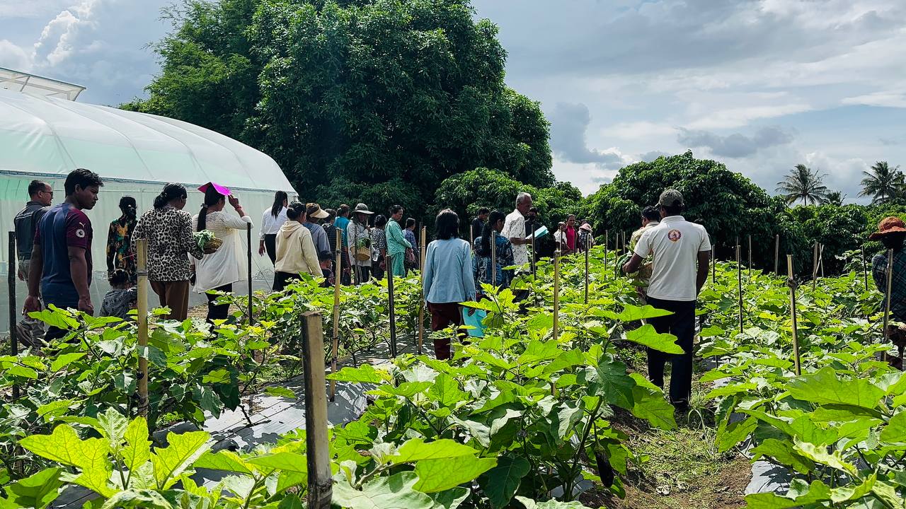 ក្រុមការងារគម្រោង "ការកសាងភូមិសន្តិភាព តាមរយៈការអភិវឌ្ឍន៍សហគមន៍ជនបទចម្រុះ" បានរៀបចំទិវាចម្ការបង្ហាញ ស្តីពីការអនុវត្តកសិកម្មឆ្លាតវៃលើផលិតកម្មដំណាំបន្លែ ស្ថិតនៅភូមិក្រចាប់ សង្កាត់អូរតាវ៉ៅ ក្រុងប៉ៃលិន 9 photo 2024 07 04 17 33 49