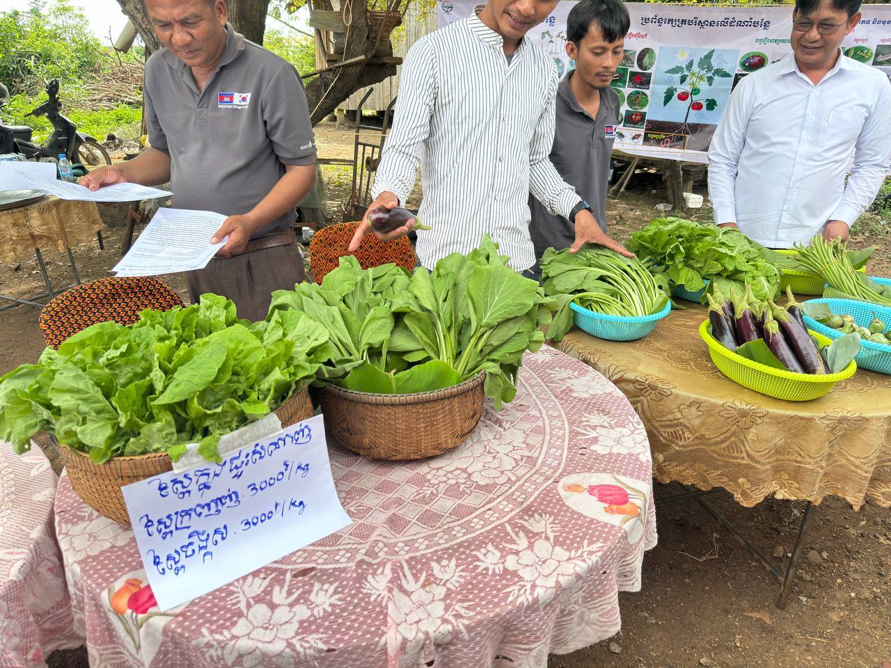 photo 2024 07 09 21 47 09