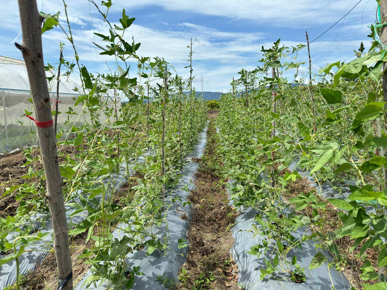 photo 2024 07 09 21 47 13