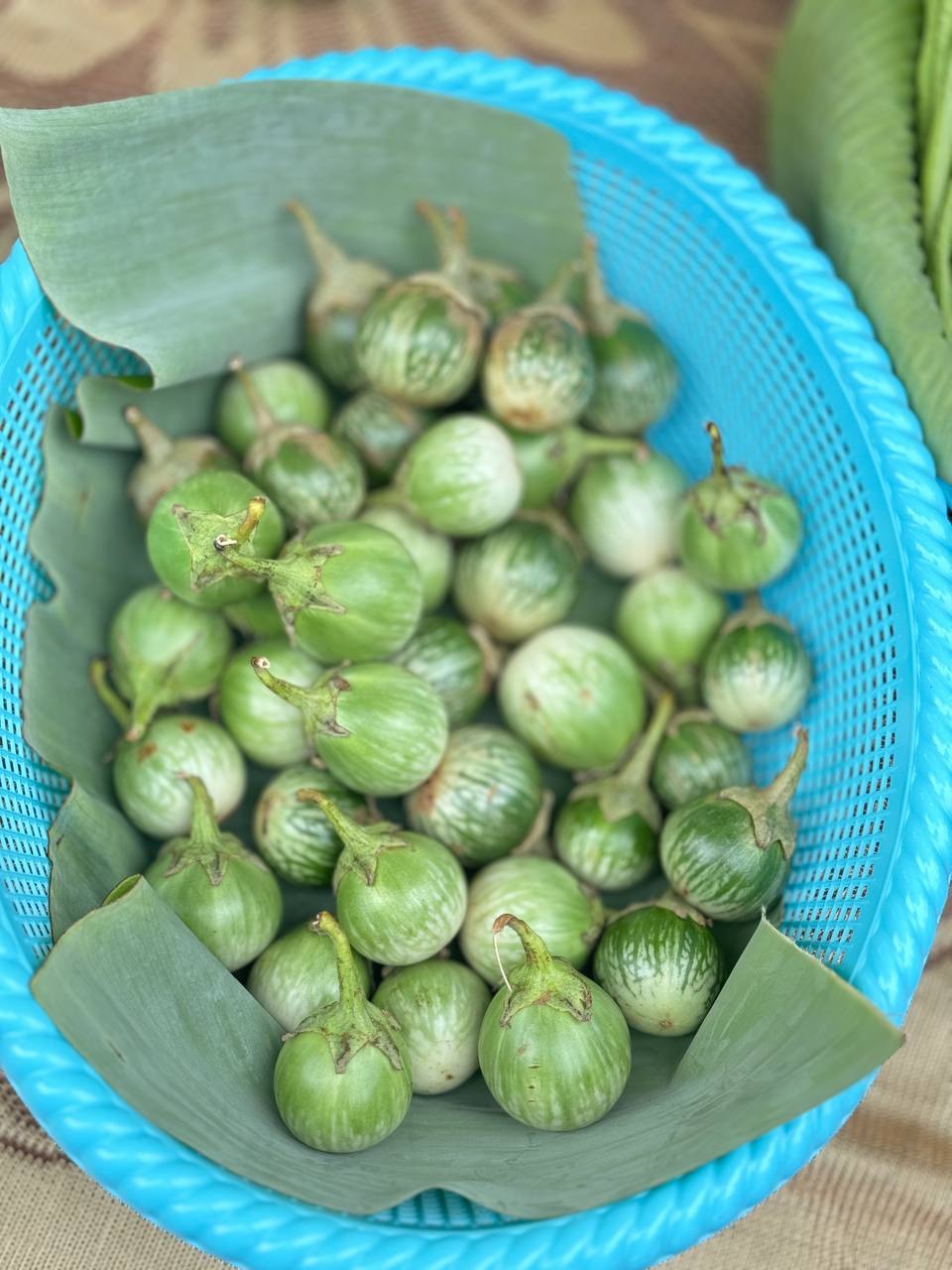 photo 2024 07 09 21 47 14 2