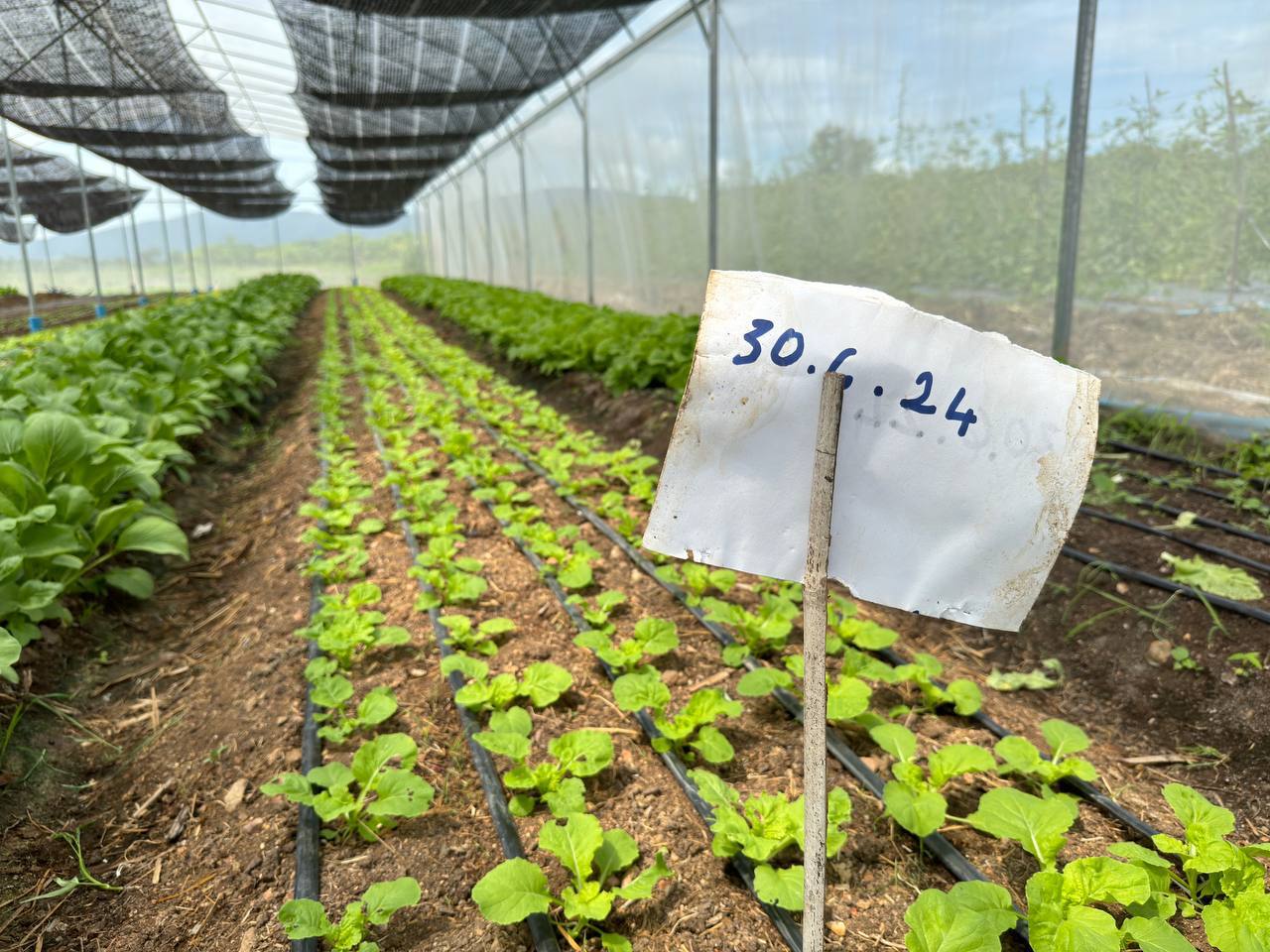 photo 2024 07 09 21 47 14