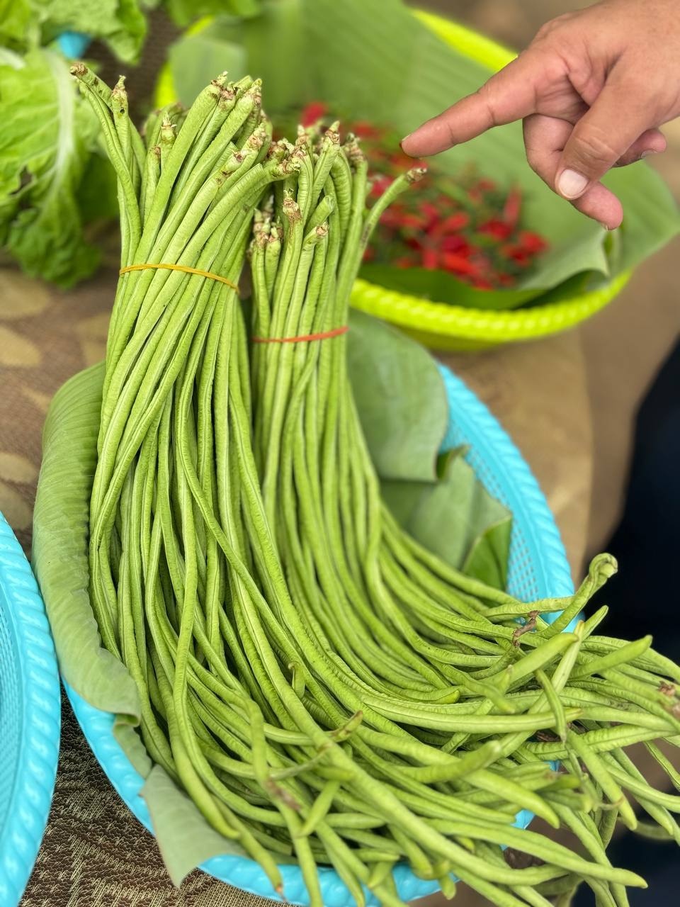 photo 2024 07 09 21 47 15