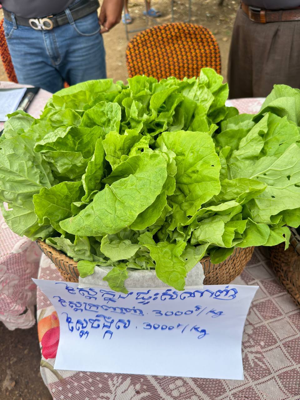 photo 2024 07 09 21 47 16