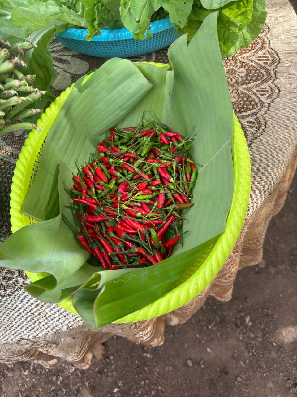 photo 2024 07 09 21 47 17 2