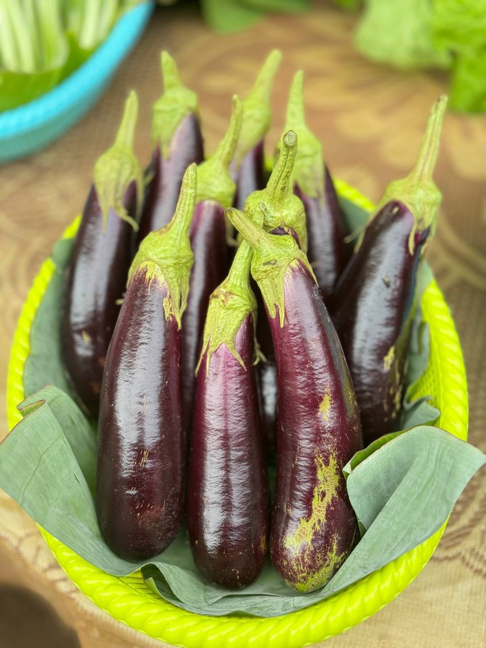 photo 2024 07 09 21 47 17